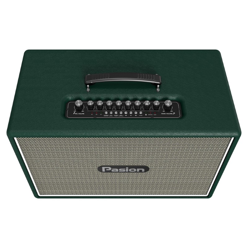 Loa Paramax Pasion Outro