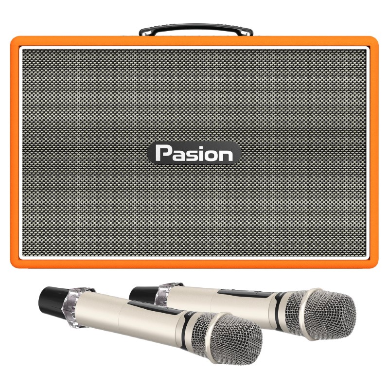 Loa Paramax Pasion Outro