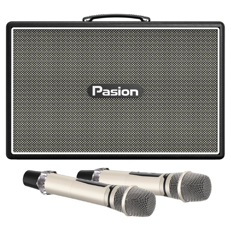 Loa Paramax Pasion Outro