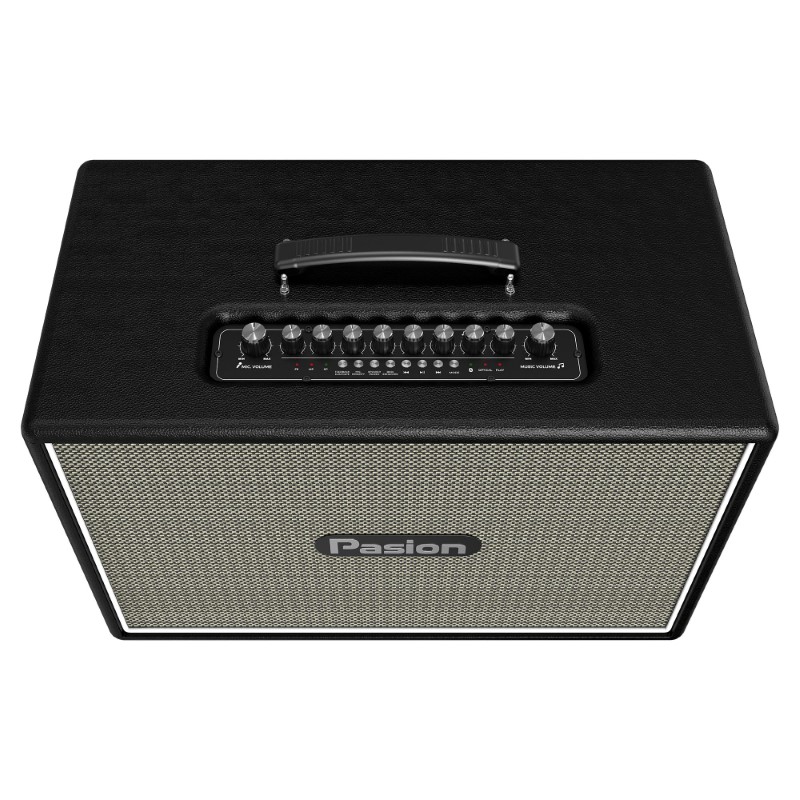 Loa Paramax Pasion Outro