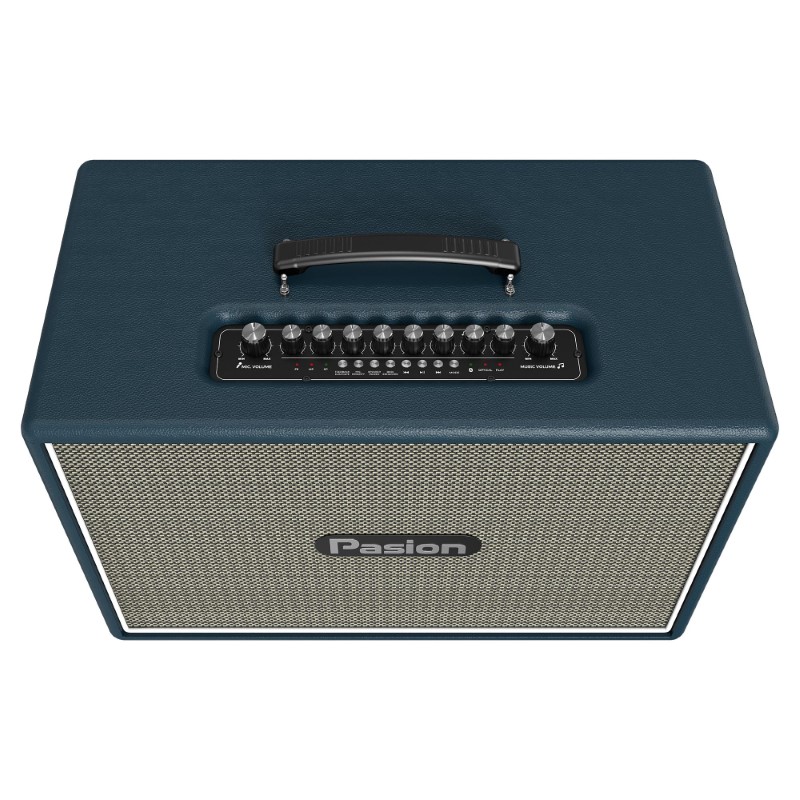 Loa Paramax Pasion Outro