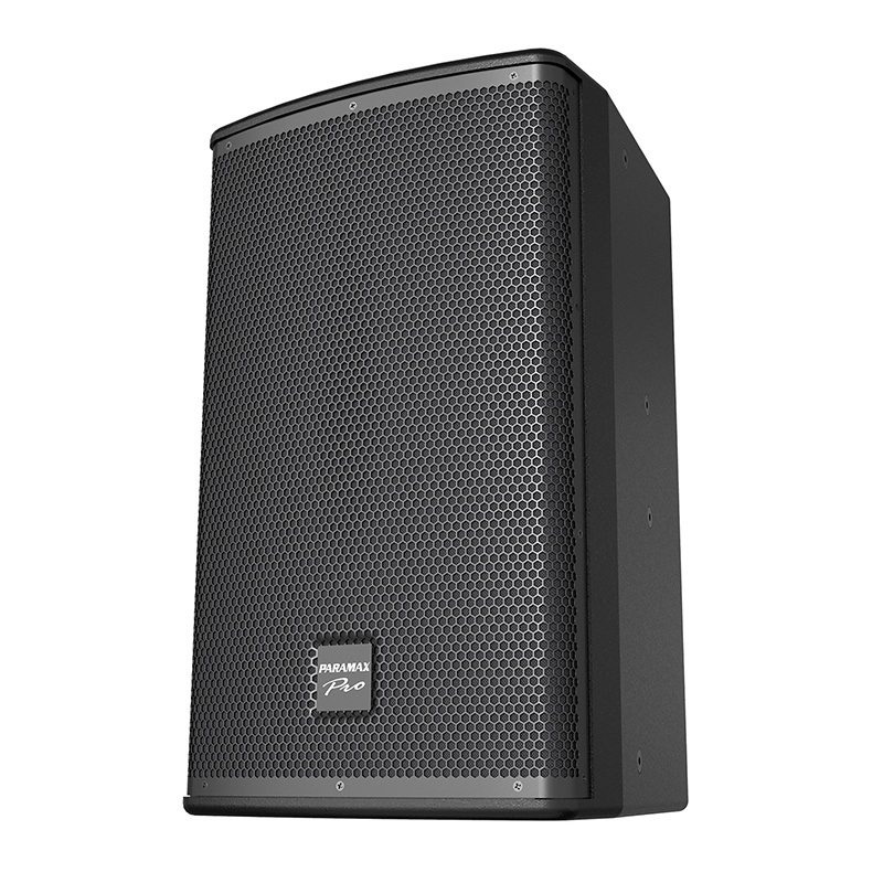 Loa Paramax Pro V30
