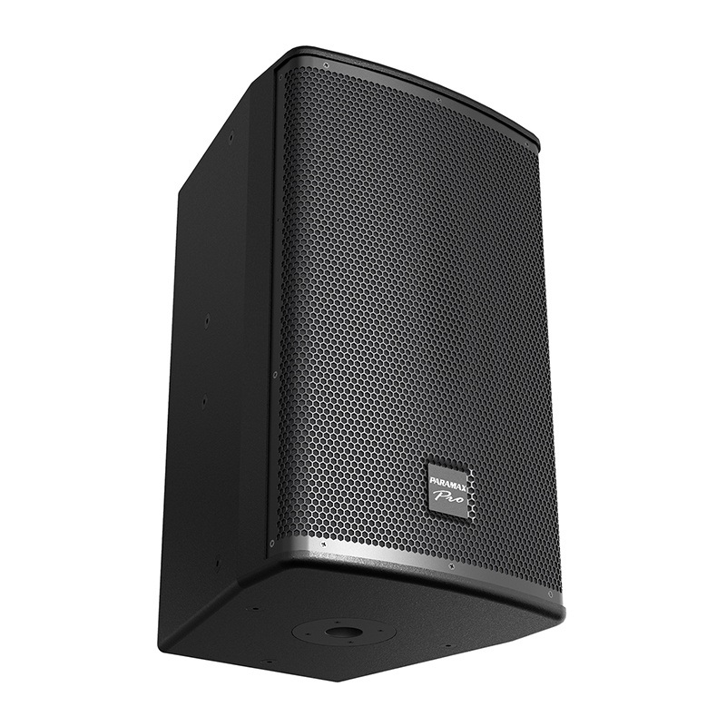 Loa Paramax Pro V30