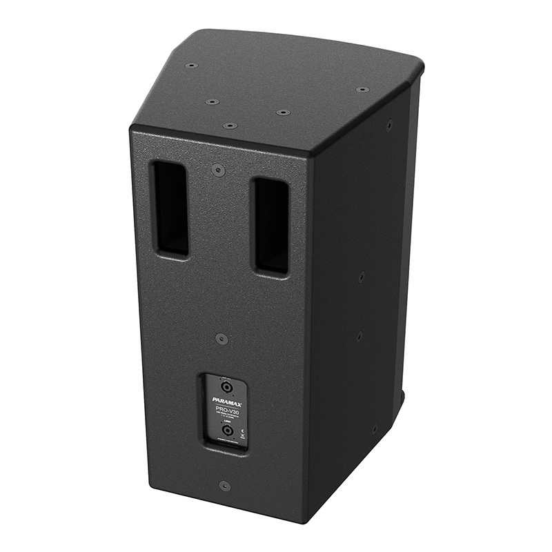 Loa Paramax Pro V30