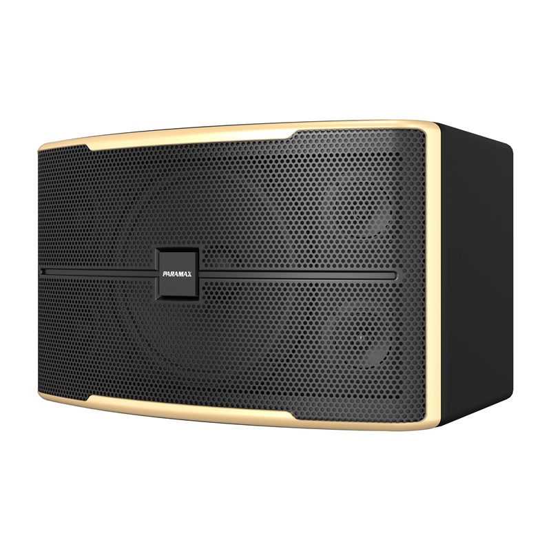 Loa Paramax Z-2500