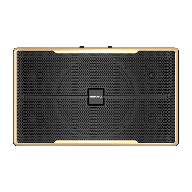 Loa Paramax Z-2500