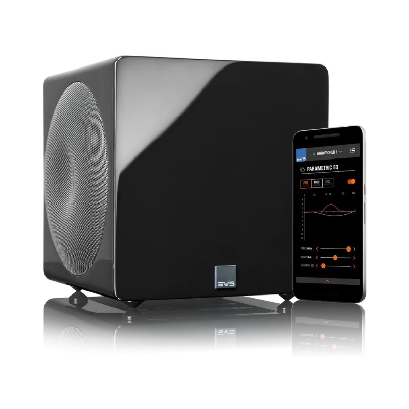 Loa sub SVS-3000 Micro