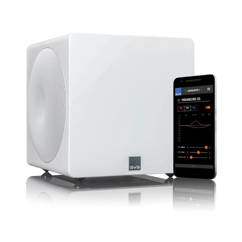 Loa sub SVS-3000 Micro