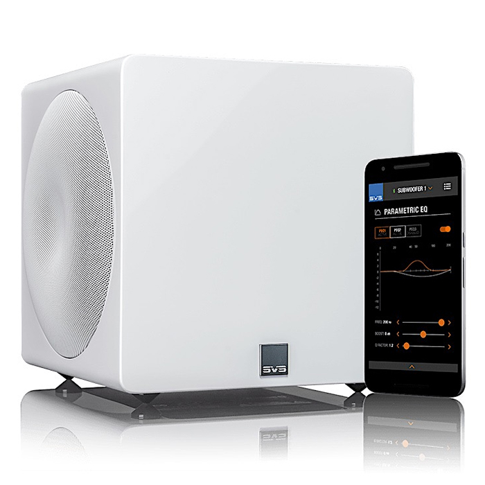 Loa sub SVS 3000 Micro R|Evolution