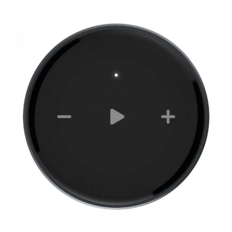 Music server WiiM Mini