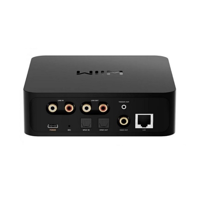 Music Streamer Pre-amp Wiim Pro