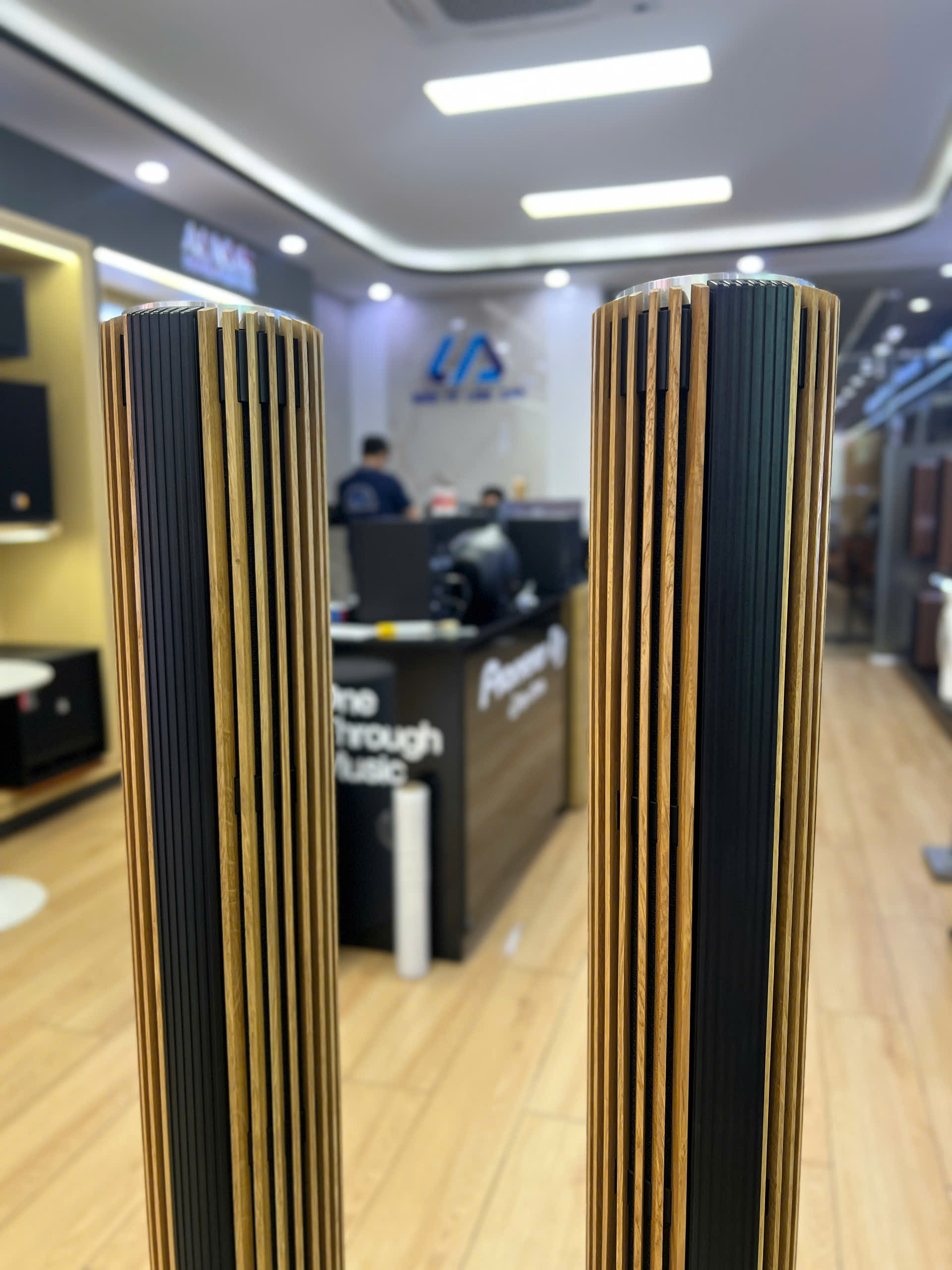 Loa Bang & Olufsen Beolab 28 Likenew