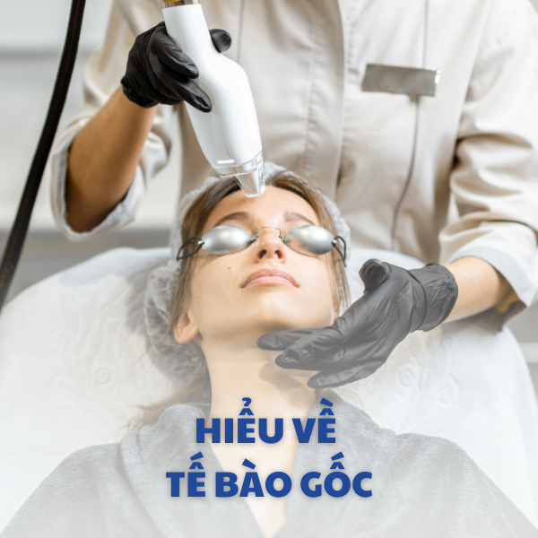 Hiệu quả từ trẻ hóa Tế bào gốc hiện đại