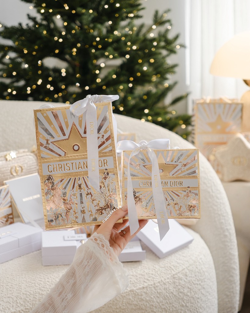 Túi hãng DIOR kèm Ruy Băng cột túi