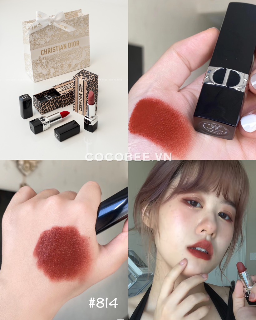 Son DIOR Bản thường 2025