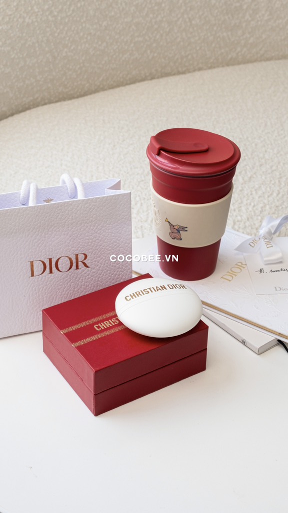 Túi hãng DIOR kèm Ruy Băng cột túi