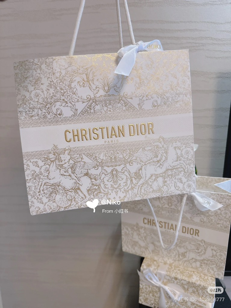Túi hãng DIOR kèm Ruy Băng cột túi
