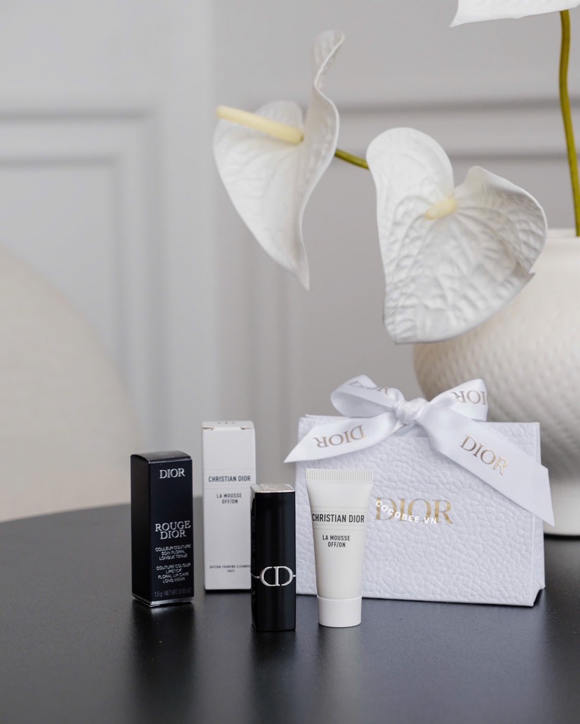 Túi hãng DIOR kèm Ruy Băng cột túi