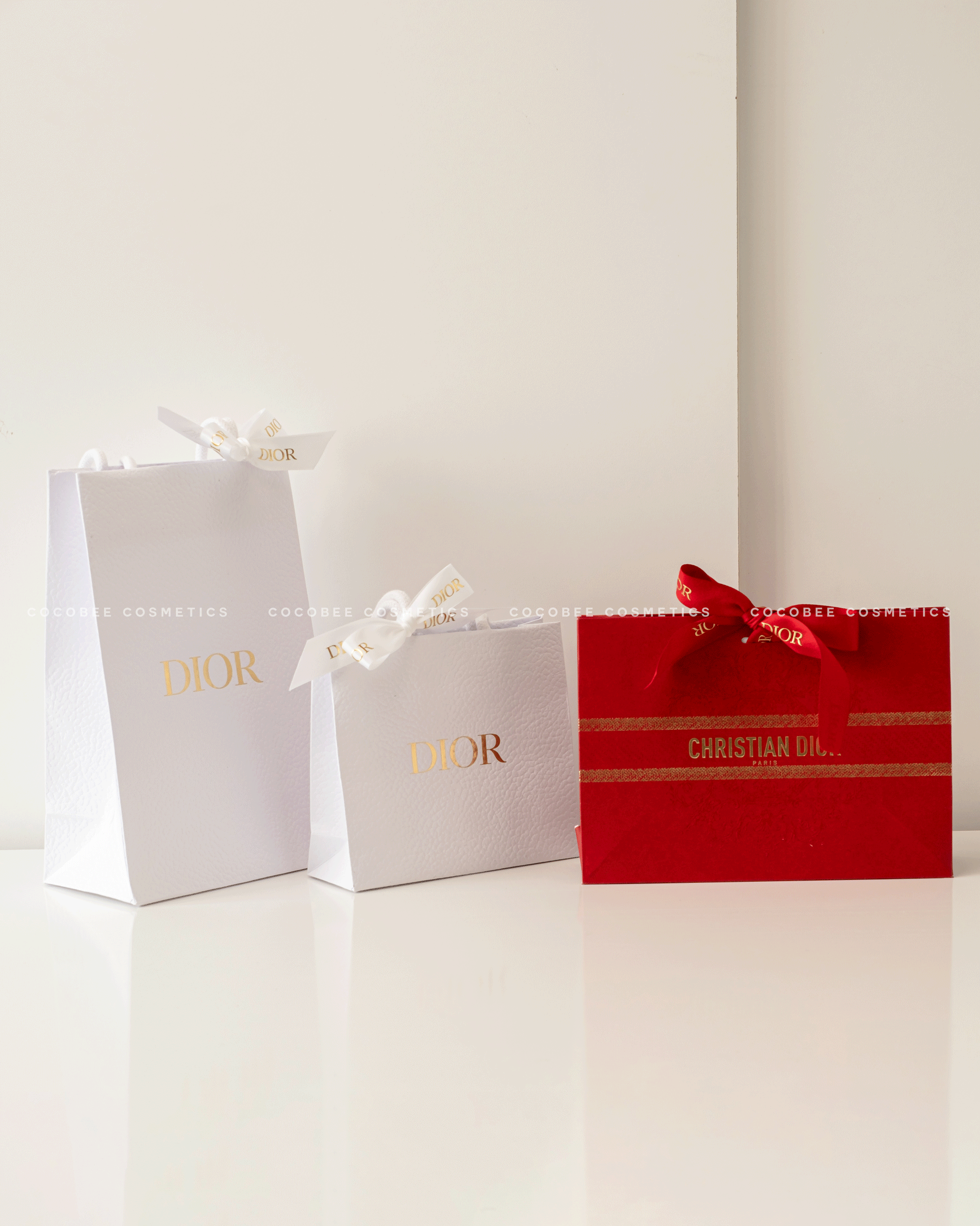 Túi hãng DIOR kèm Ruy Băng cột túi