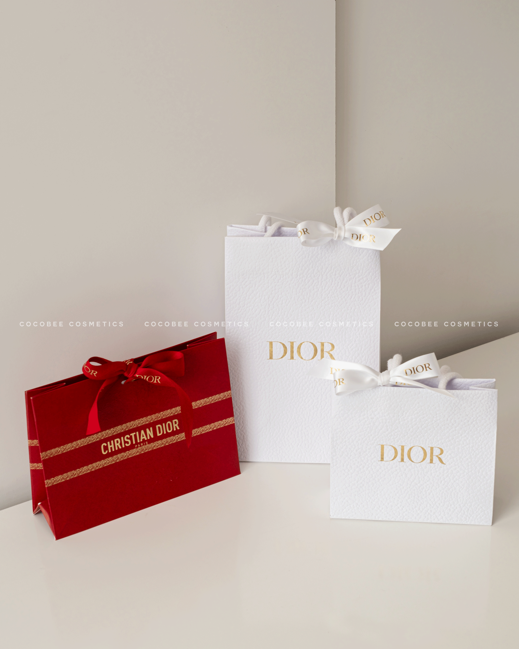 Túi hãng DIOR kèm Ruy Băng cột túi