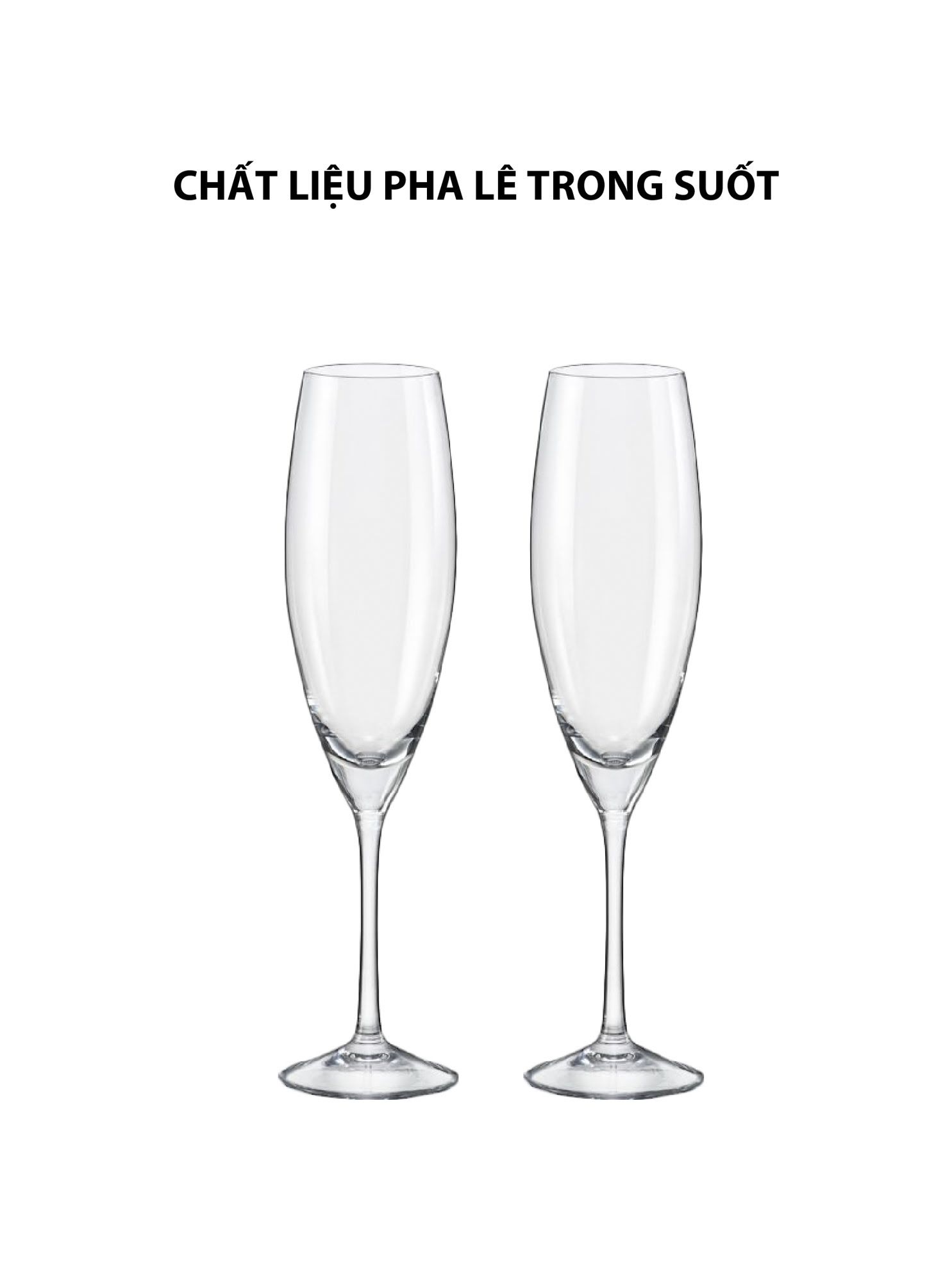 Bohemia - Ly uống rượu vang Sophia 230ml