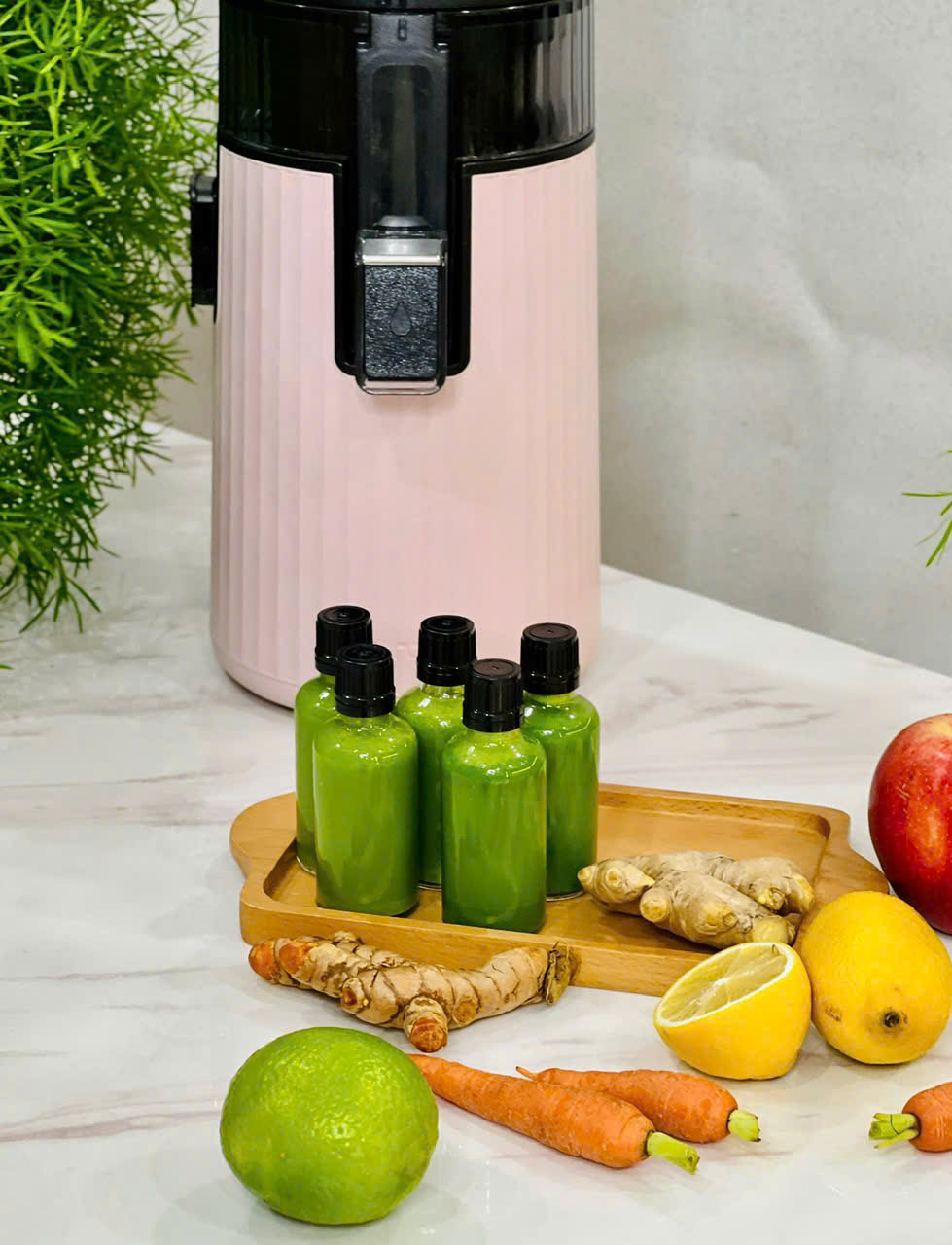 Máy ép chậm Hurom H420 màu hồng