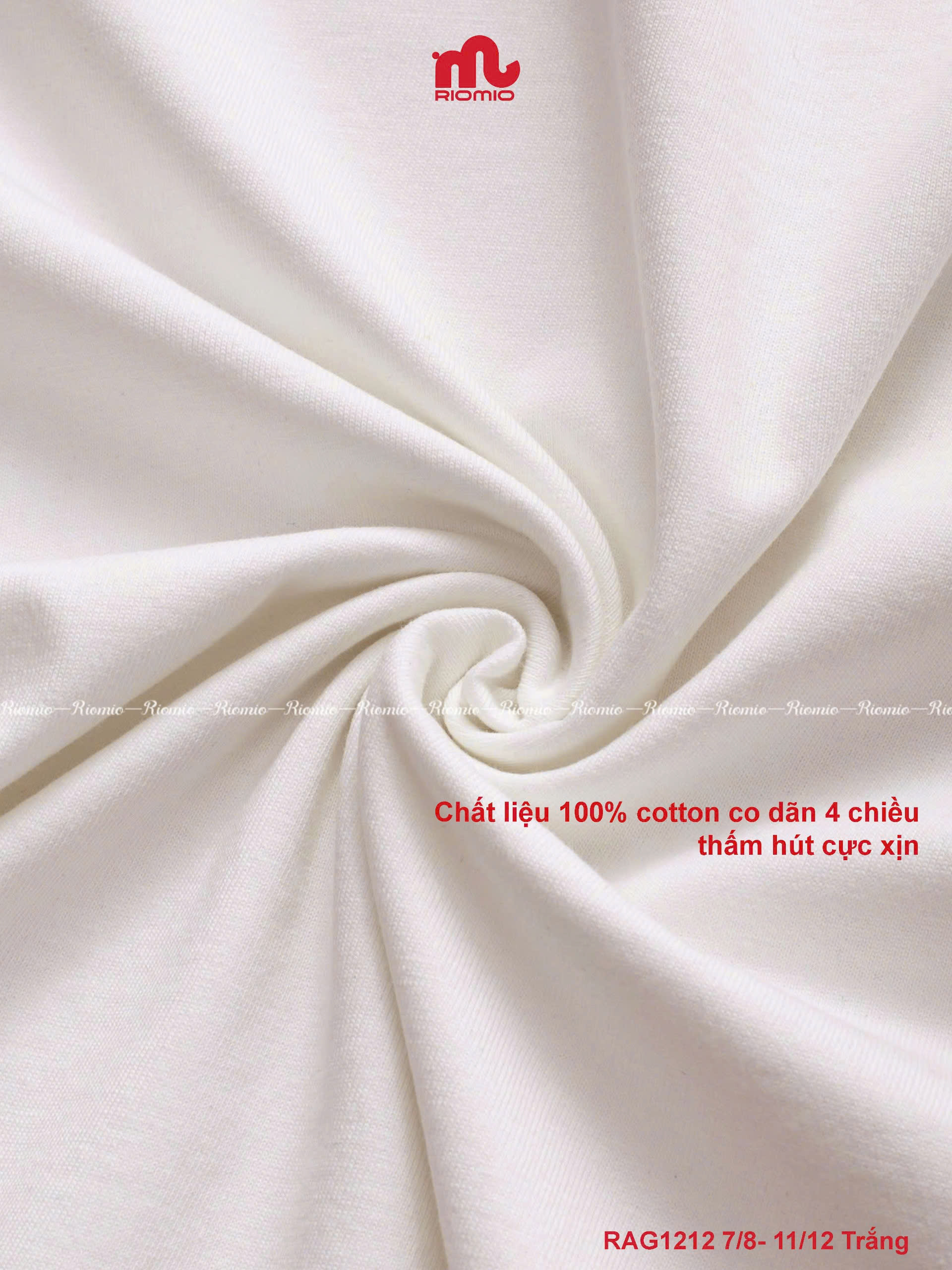 rag1212-ao-phong-cotton-bg-phom-rong-7-8-11-12-r5