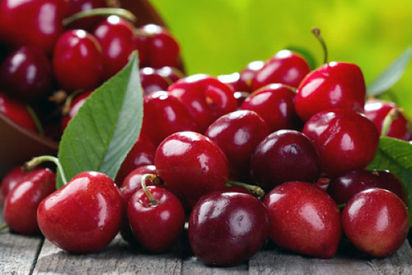 VÌ SAO NÊN ĂN QUẢ CHERRY DÙ ĐẮT ĐỎ?
