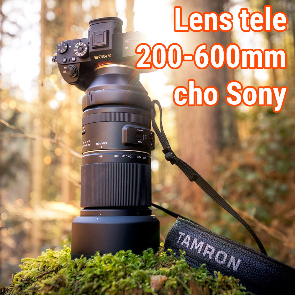 Lens 200-600mm cho Sony: Khám phá Thiên nhiên - Chinh phục Thể thao