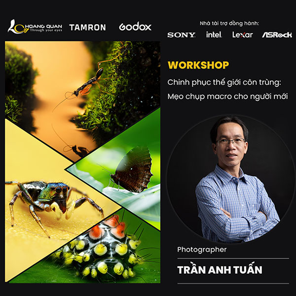 Workshop Chinh phục thế giới côn trùng - Mẹo chụp macro cho người mới cùng nhiếp ảnh gia Trần Anh Tuấn