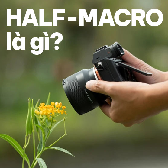 Ống kính HALF-MACRO là gì? Giải thích sự khác biệt và cách sử dụng