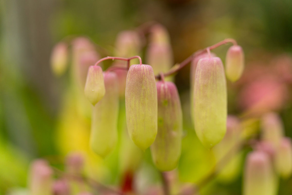 a069-19.jpg?v=1718099201906