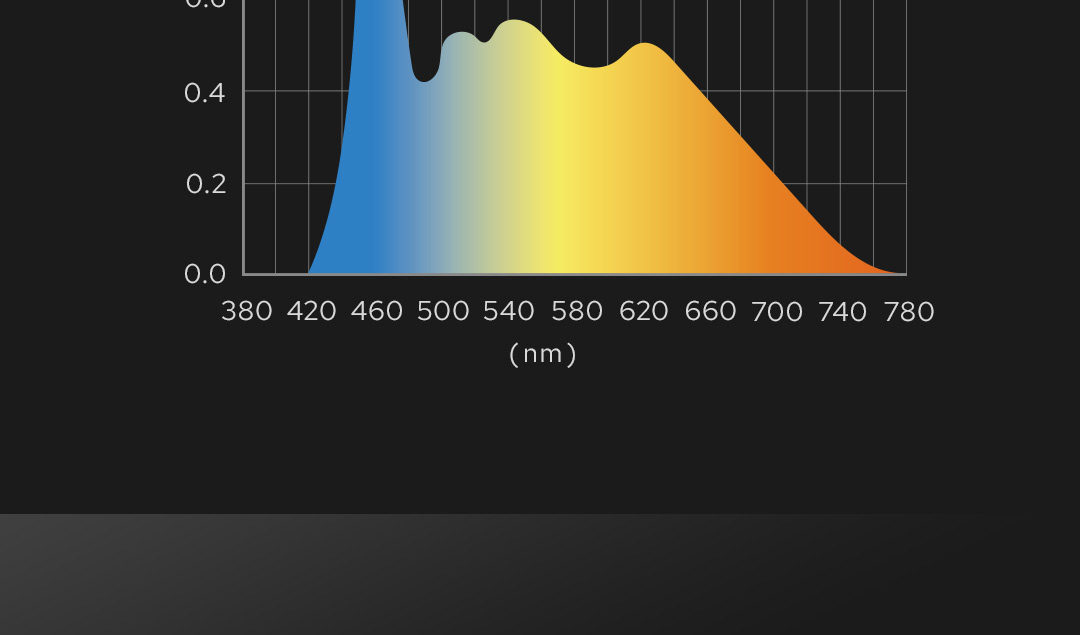 d8-4fdc7224-1c24-4a49-ad41-4f53f7200058.jpg?v=1652340538934