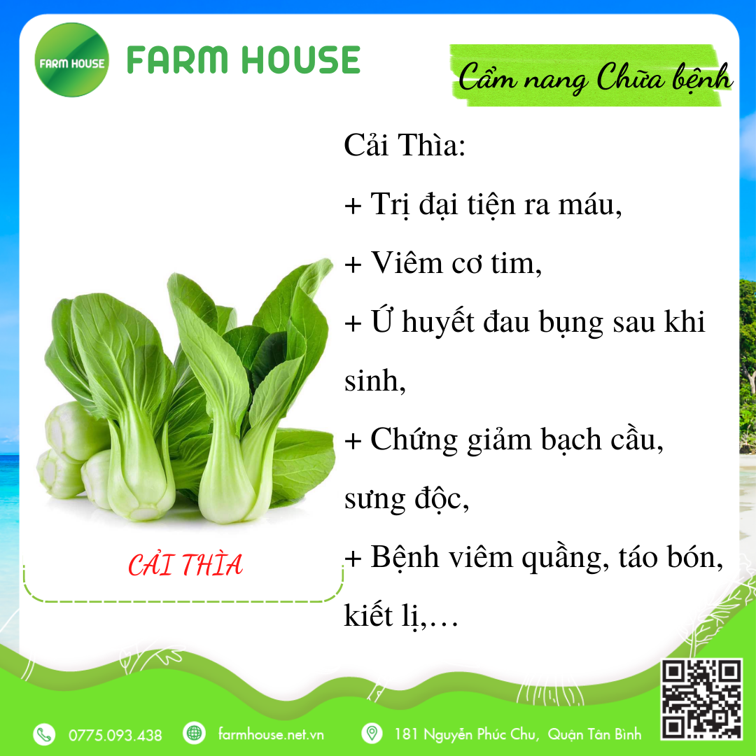 [Cẩm nang Rau củ chữa bệnh] CẢI THÌA