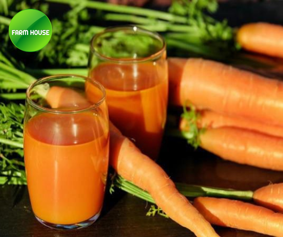 một trong những món ngon đặc biệt bổ dưỡng sức khỏe - nước ép cà rốt