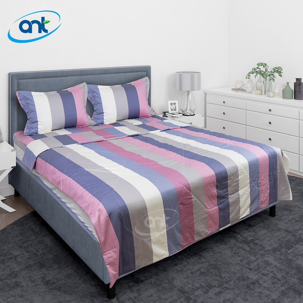 Bộ Chăn Ga Gối Modal Cotton MC39