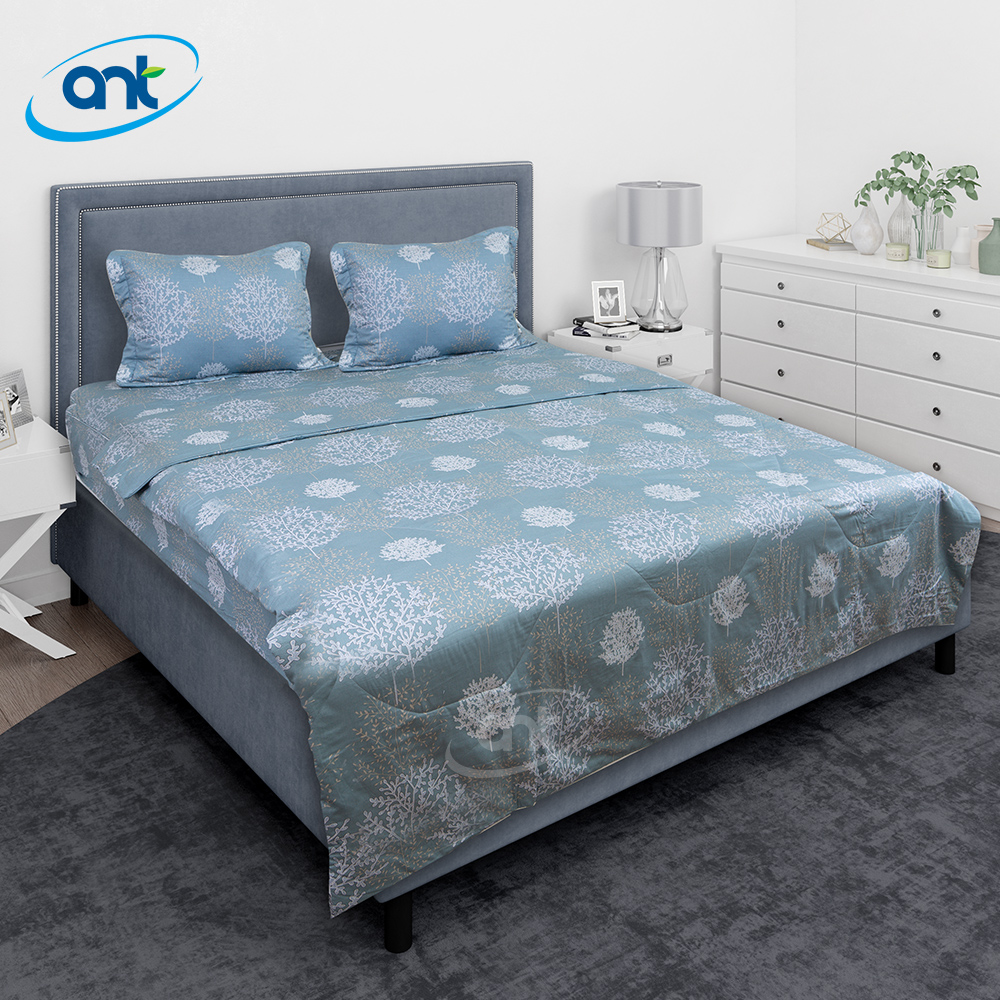 Bộ Chăn Ga Gối Modal Cotton MC007