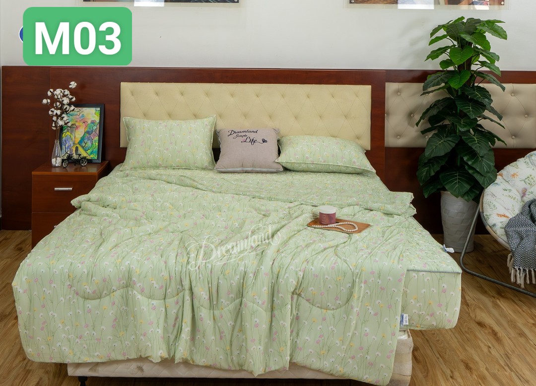 Chăn ga gối mát CM03