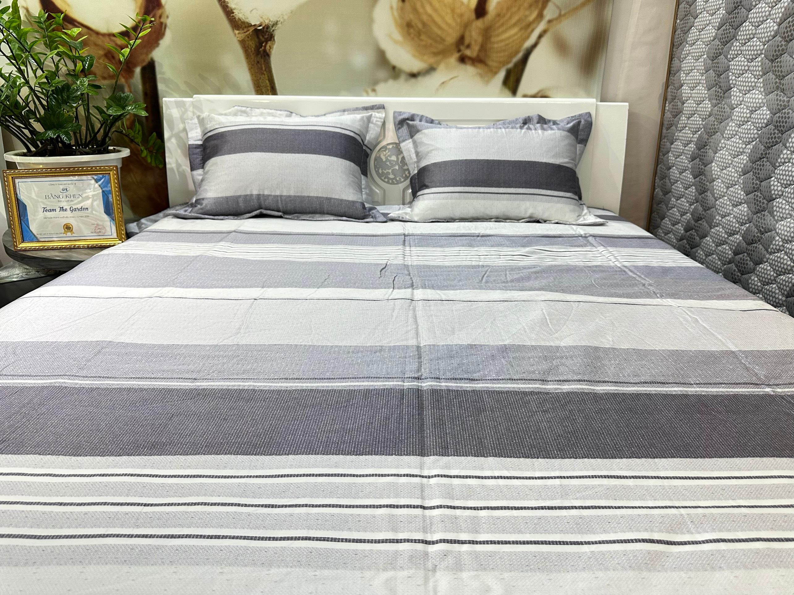 Bộ Chăn Ga Gối Tencen Lụa T13