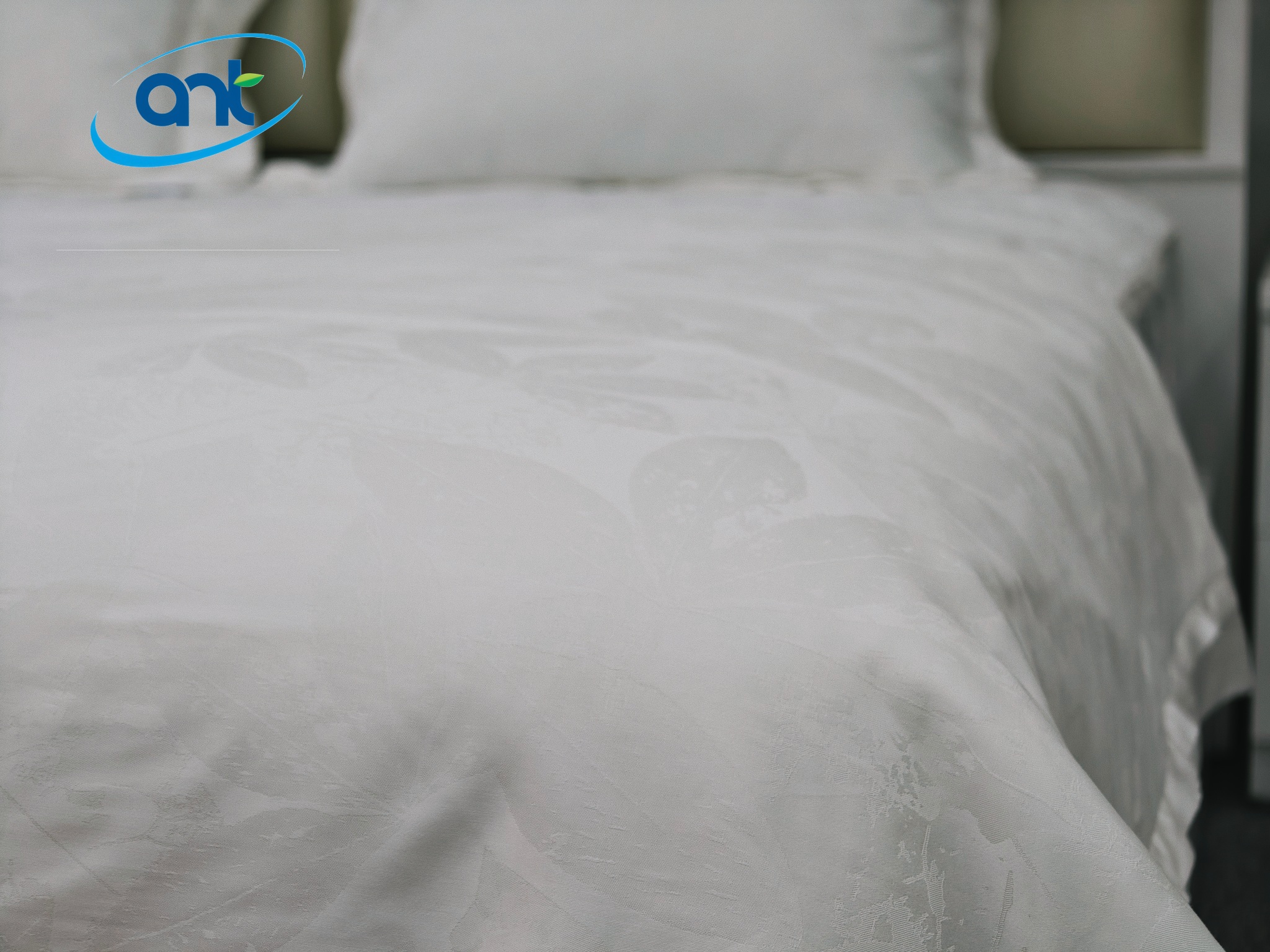 Bộ Chăn Ga Gối Ogarnic Tơ Tằm JQ08