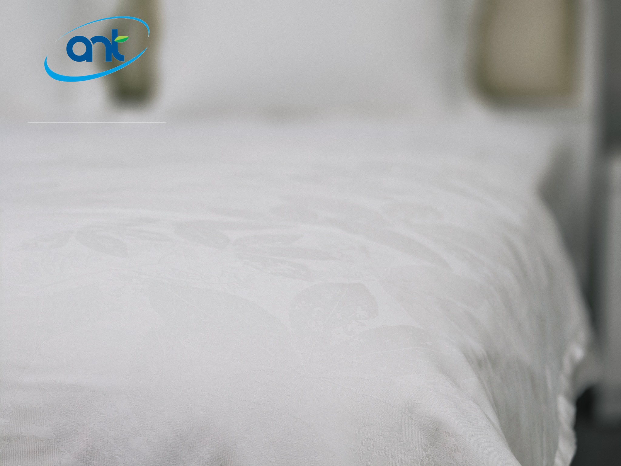 Bộ Chăn Ga Gối Ogarnic Tơ Tằm JQ08