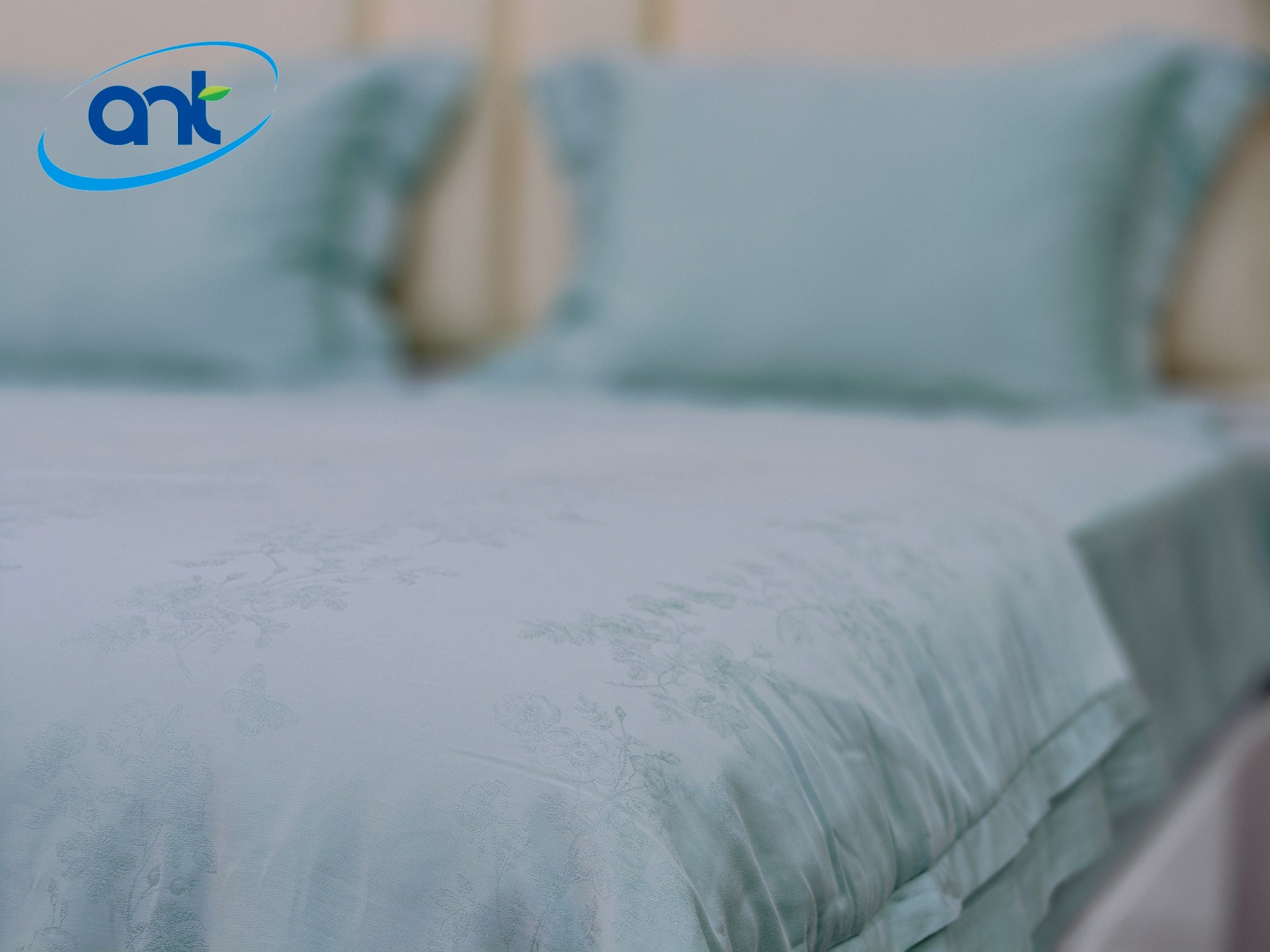 Bộ Chăn Ga Gối Ogarnic Tơ Tằm JQ09