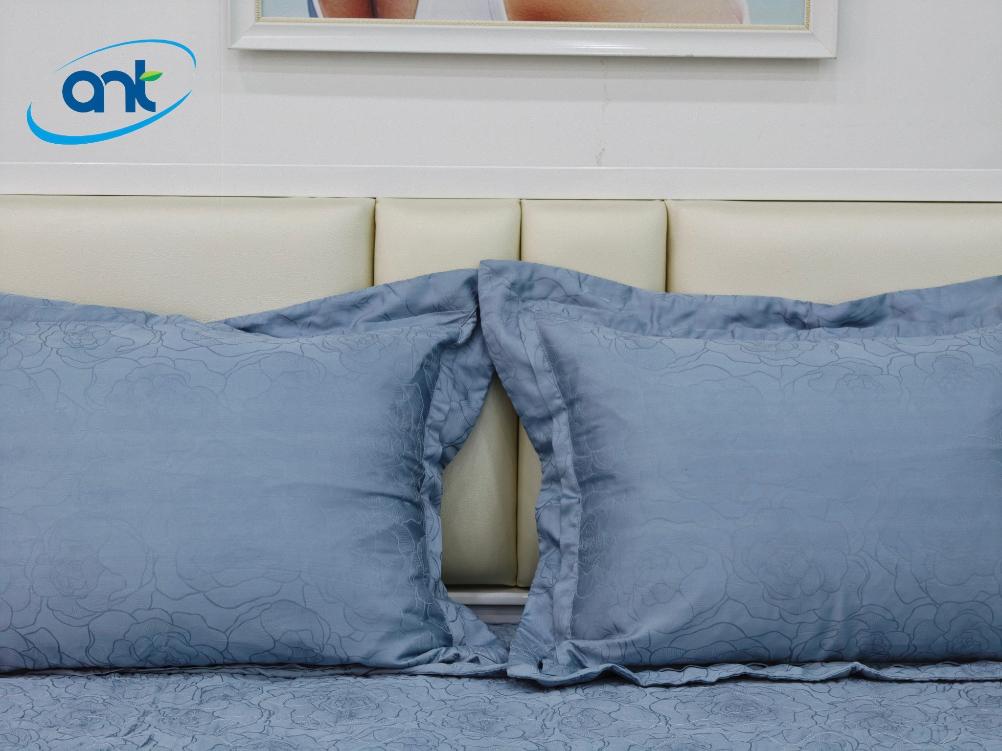 Bộ Chăn Ga Gối Ogarnic Tơ Tằm JQ01