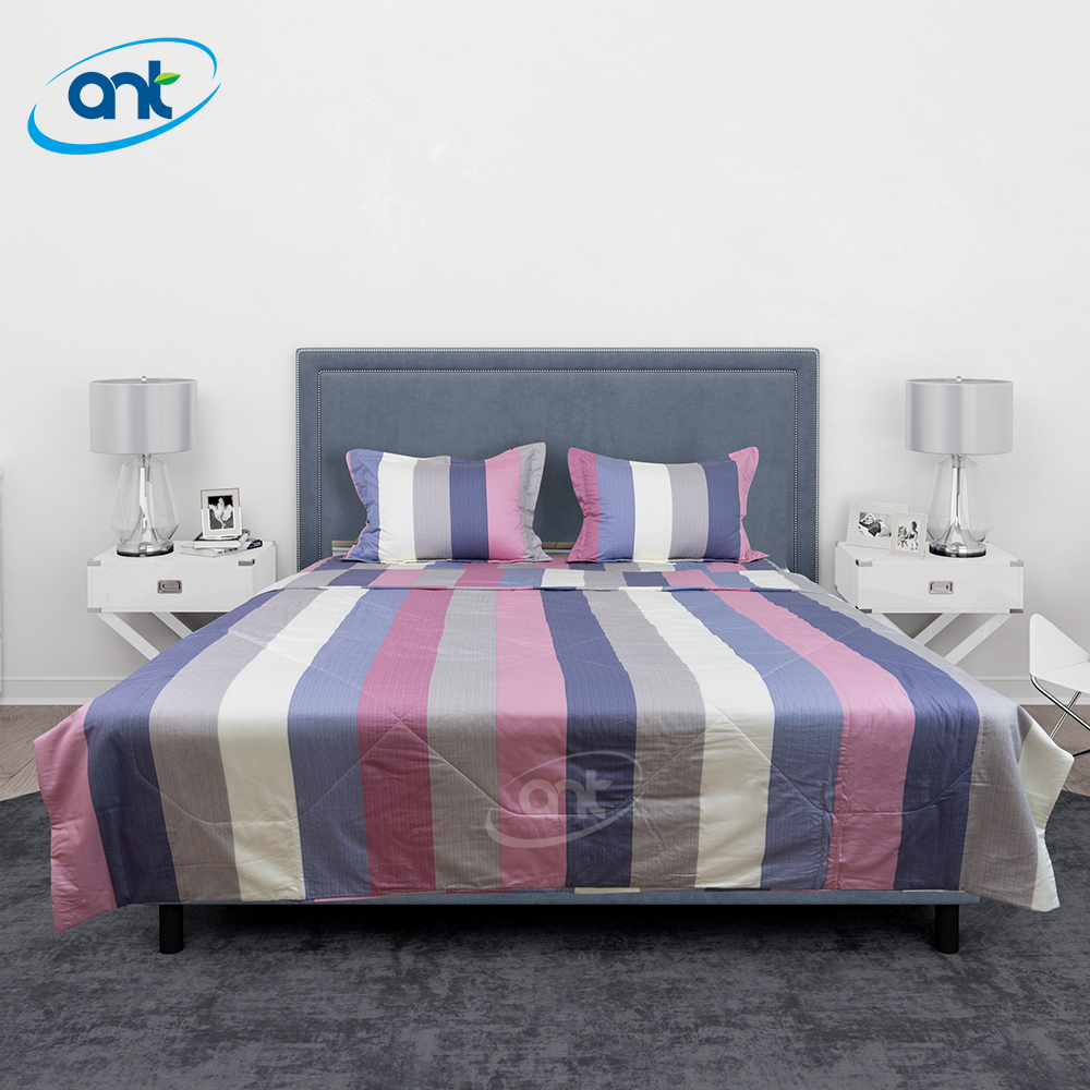 Bộ Chăn Ga Gối Modal Cotton MC39