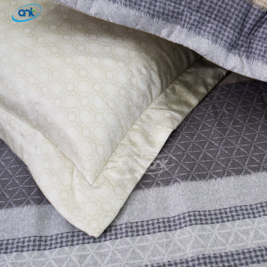 Bộ Chăn Ga Gối Tencen Lụa T01