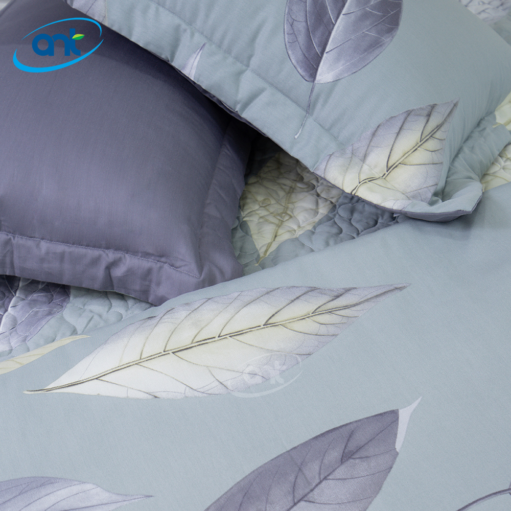 Bộ Chăn Ga Gối Modal Cotton MC4A