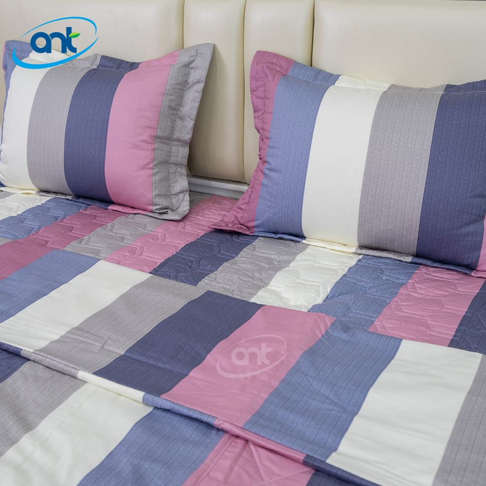 Bộ Chăn Ga Gối Modal Cotton MC39