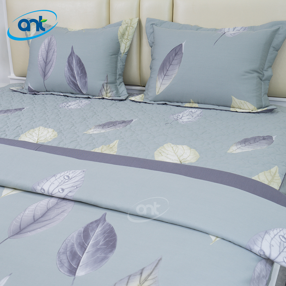 Bộ Chăn Ga Gối Modal Cotton MC4A