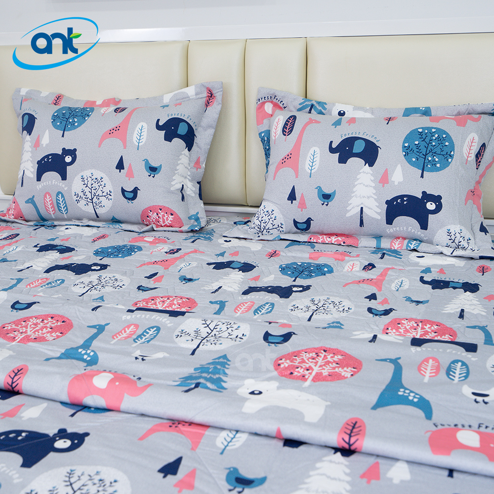 Bộ Chăn Ga Gối Modal Cotton MC5