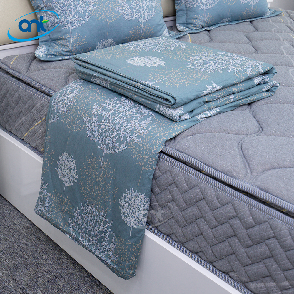 Bộ Chăn Ga Gối Modal Cotton MC007